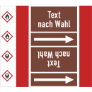 Rohrkennzeichnungsbänder für brennbare Flüssigkeiten Text nach Wahl mit je einem GHS Symbol nach Wahl
