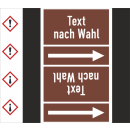 Rohrkennzeichnungsbänder für nicht brennbare Flüssigkeiten Text nach Wahl mit je einem GHS Symbol nach Wahl